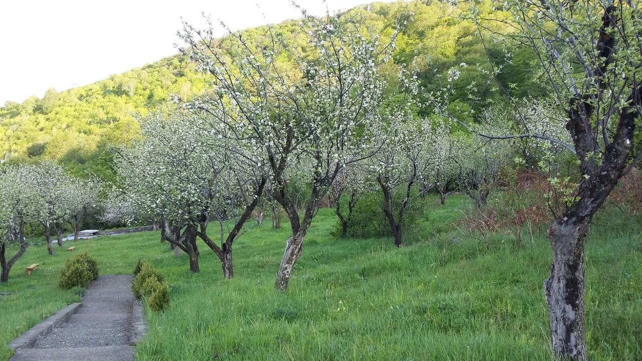 Odzun Hotel Alaverdi Bagian luar foto